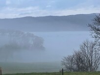 Fog in morning