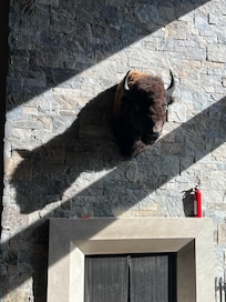 Continually watched over by the bison