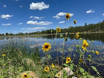 One of the many lakes in Pinetop-Lakeside
