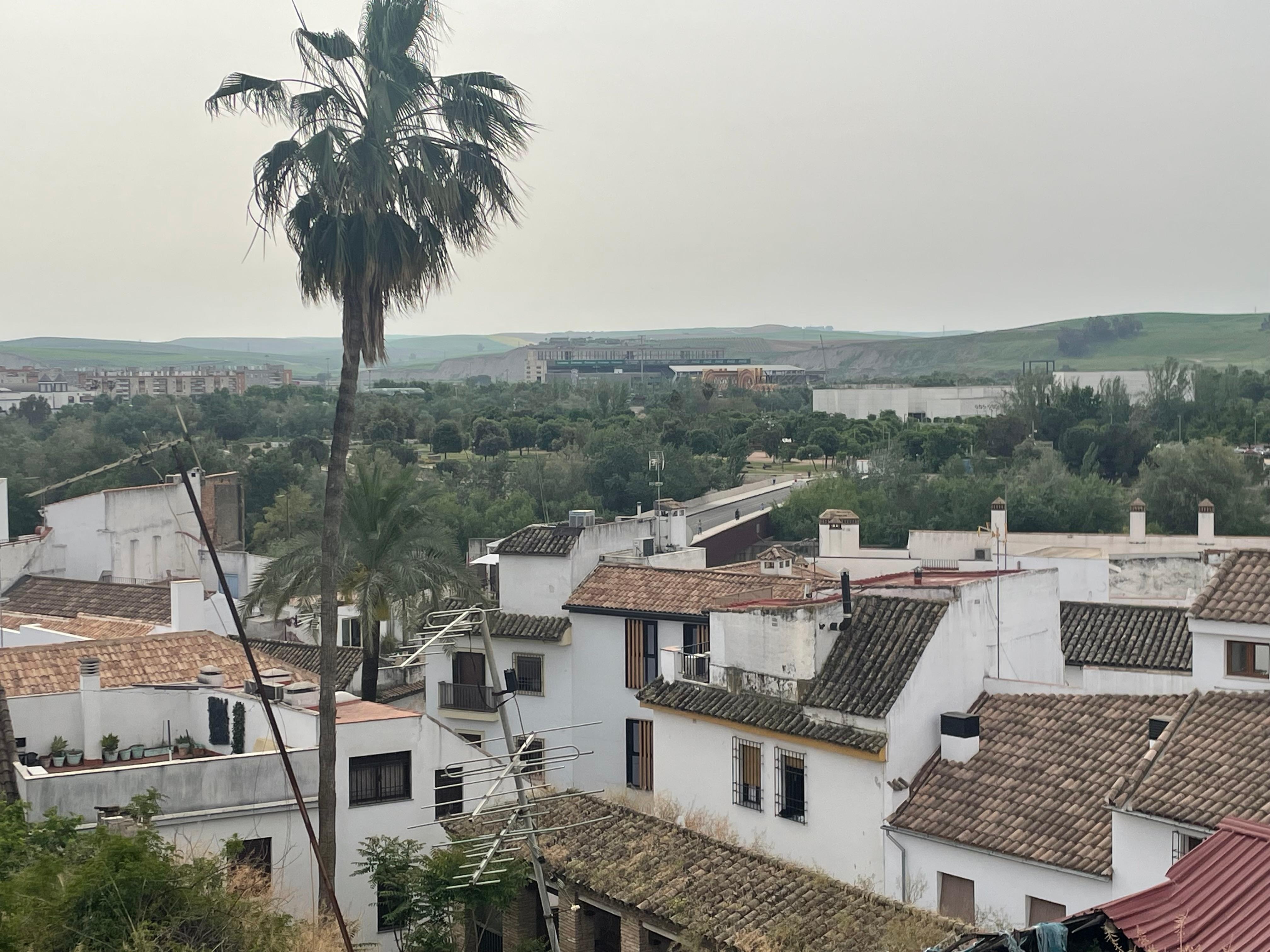 View from rooftop terrace