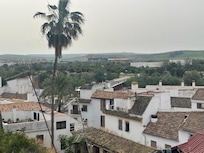 View from rooftop terrace