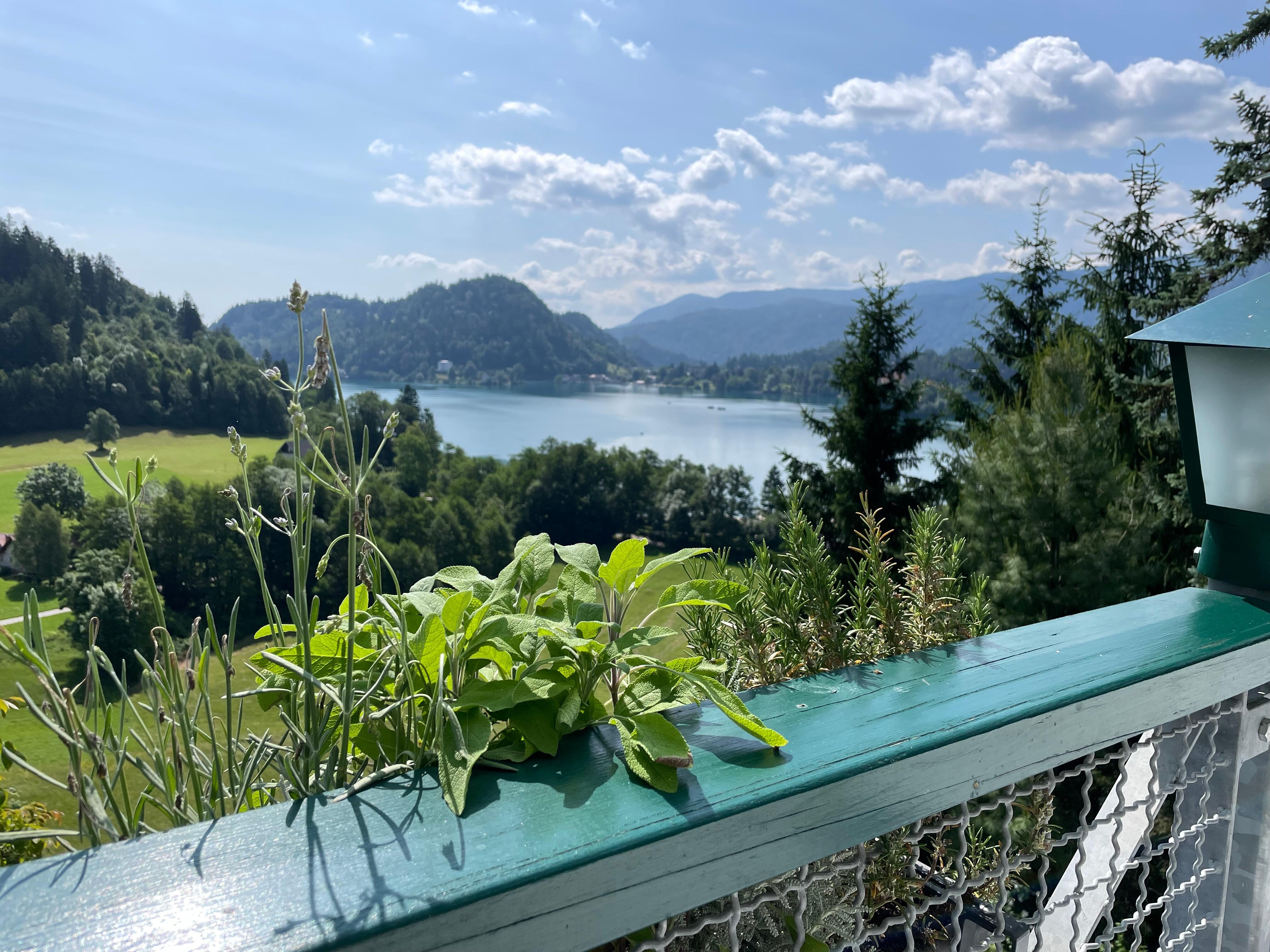 From the hotel deck