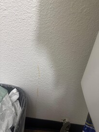 Pee on the wail but the hair all over the showers was worse