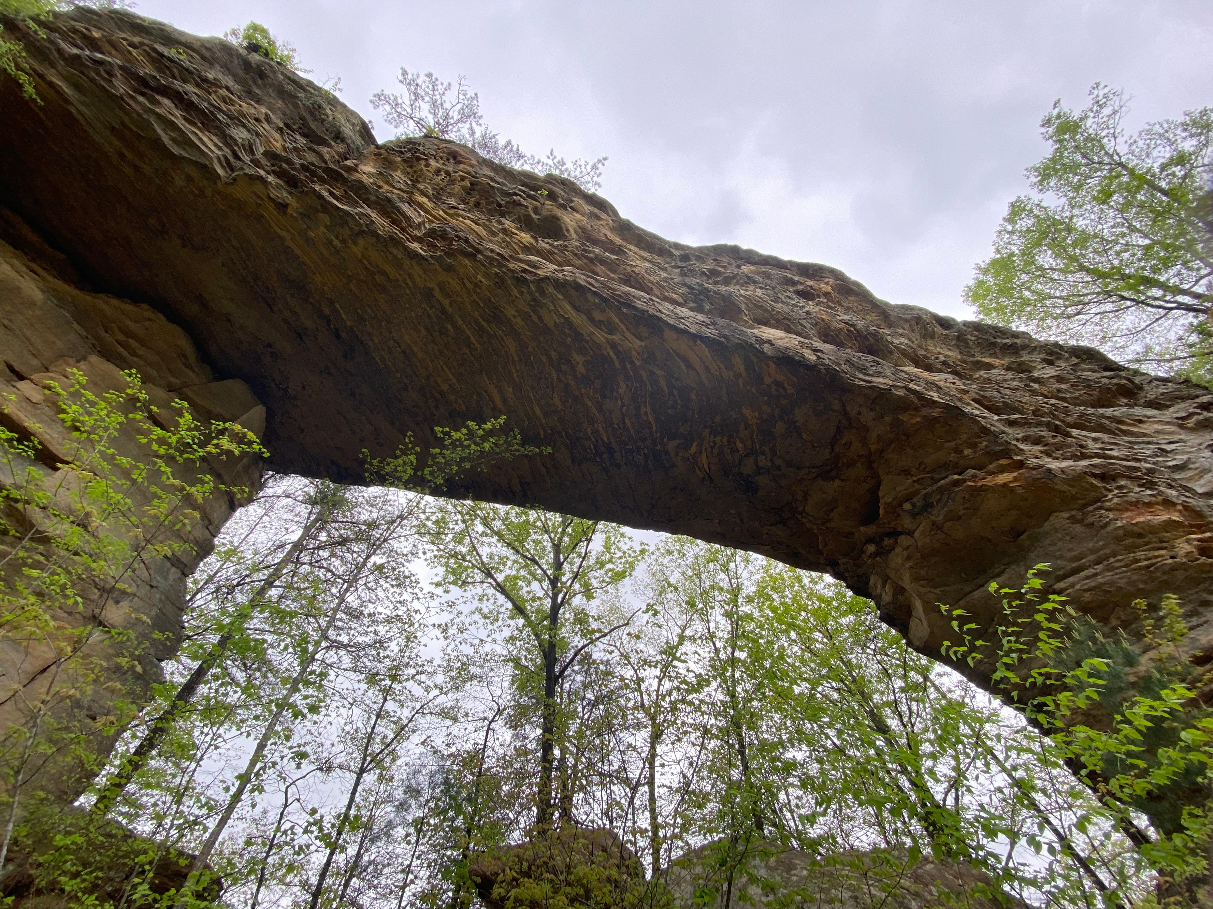 Natural bridge