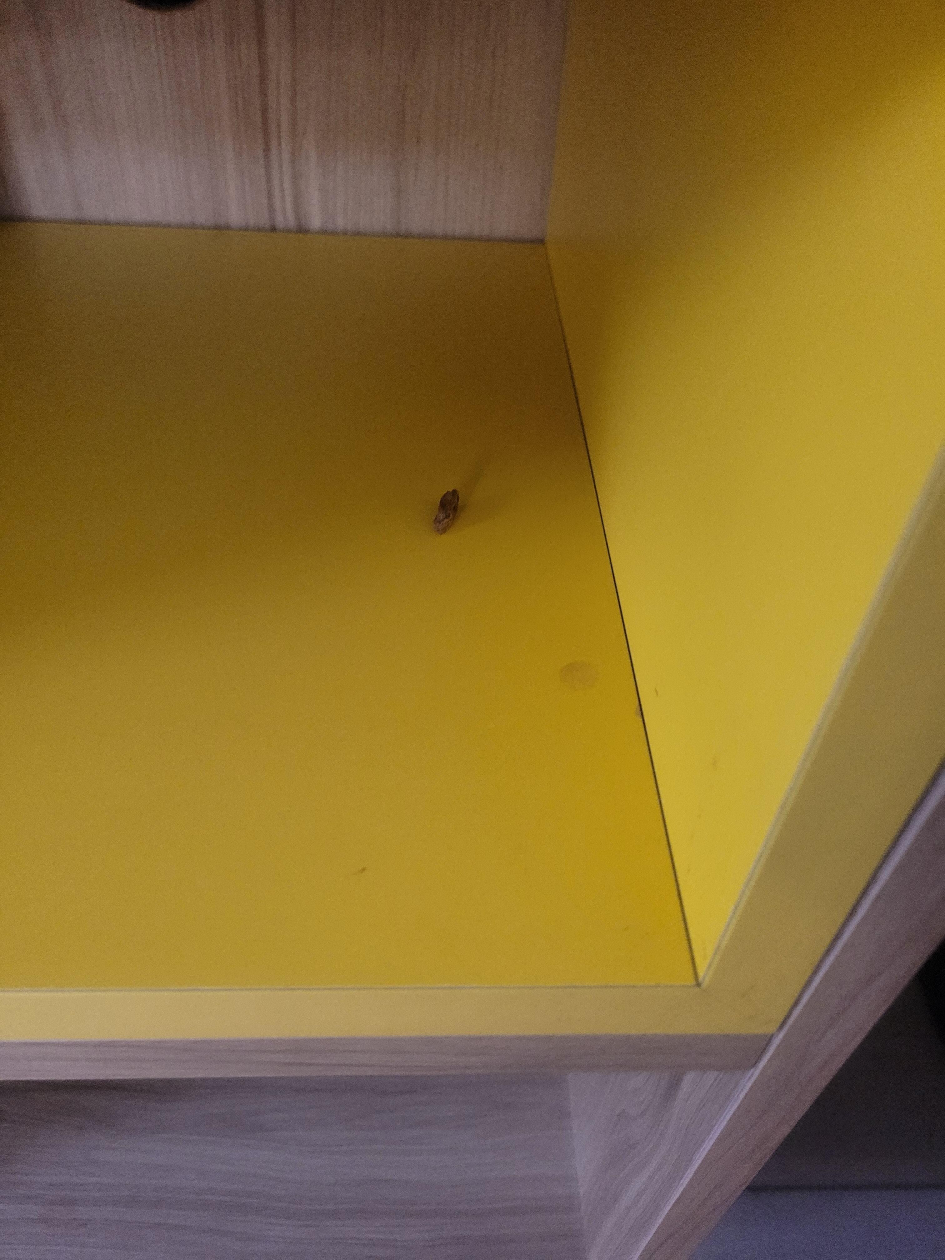 Bedside table 