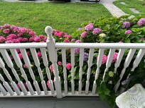 Beautiful flowers all over the property