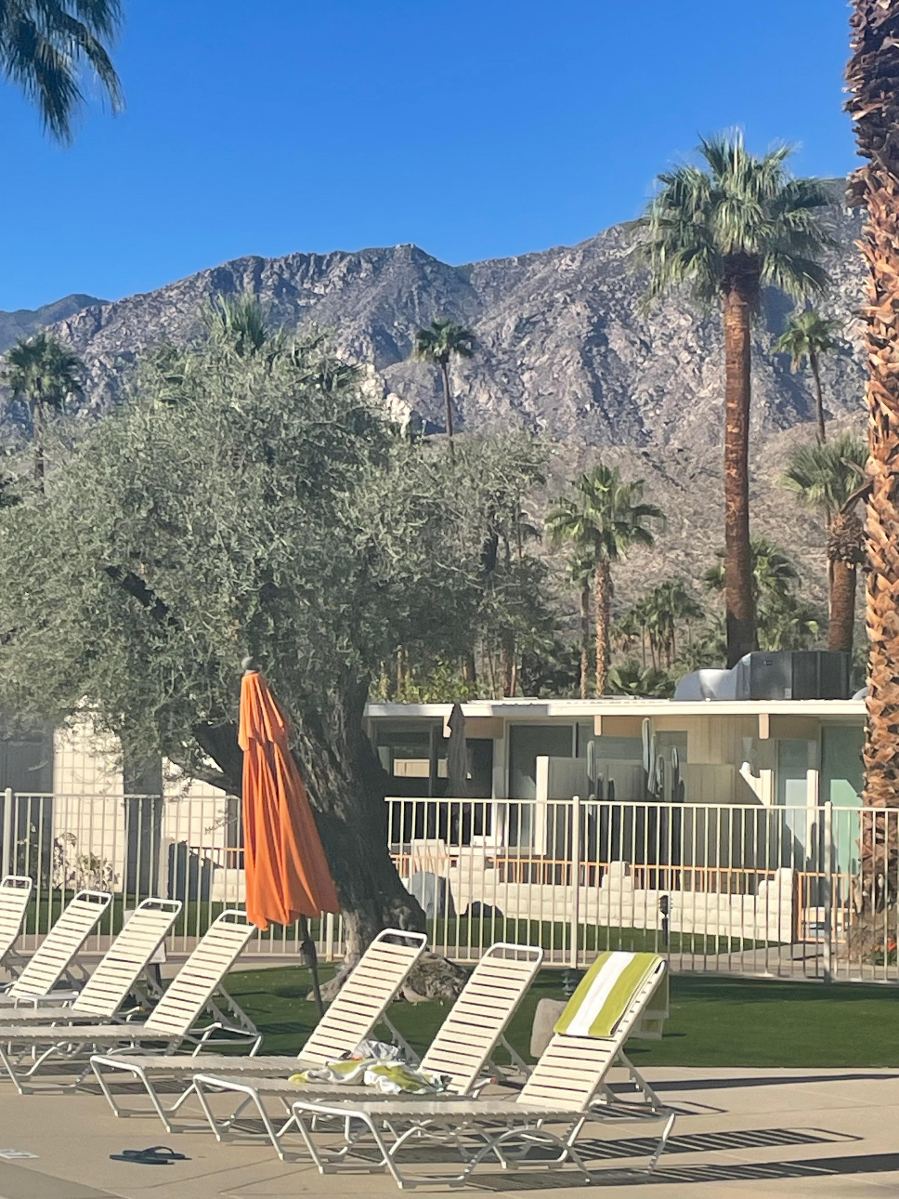 Lovely, pristine pool