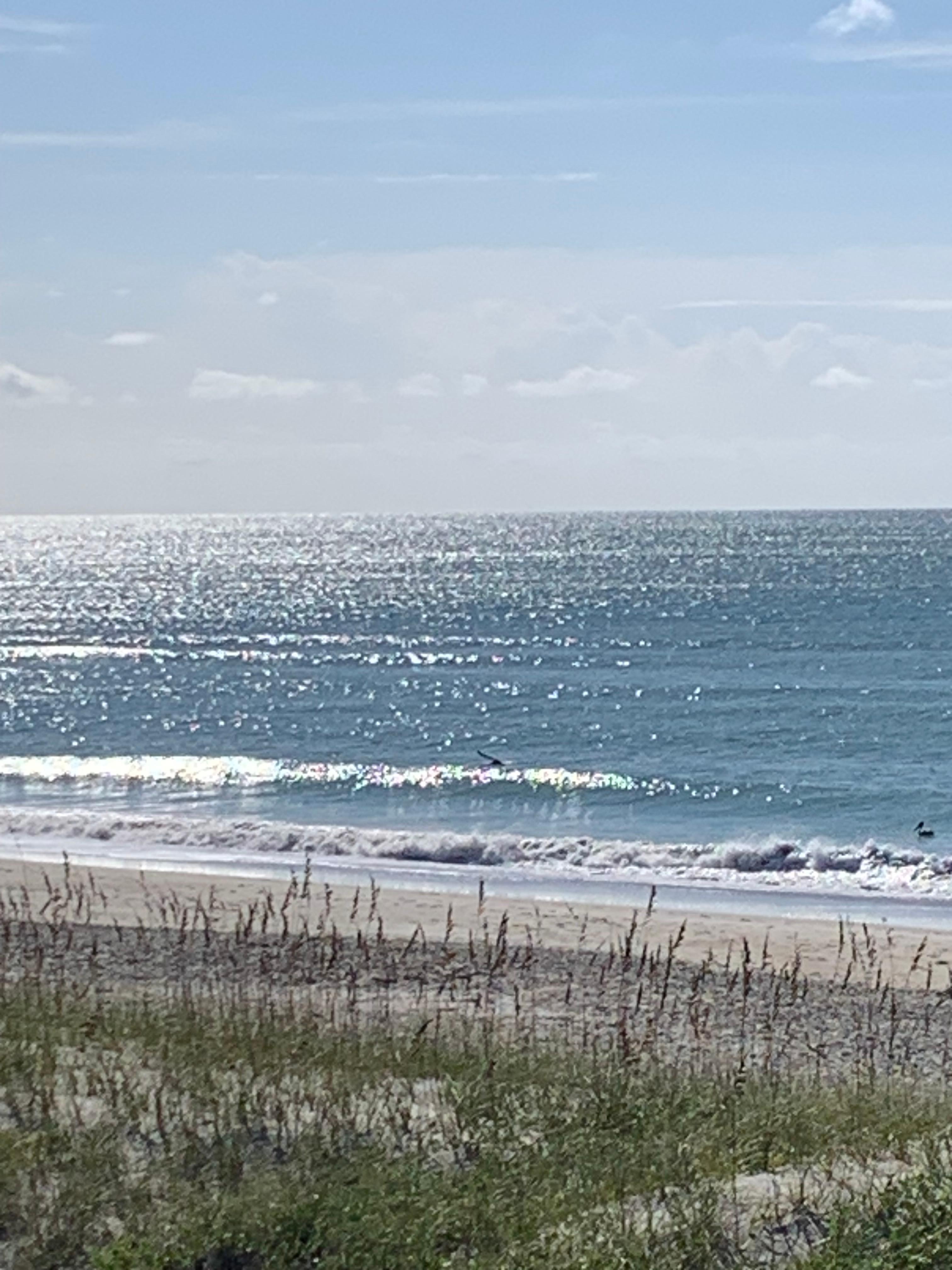 Had my morning tea on the upstairs balcony. It was lovely!