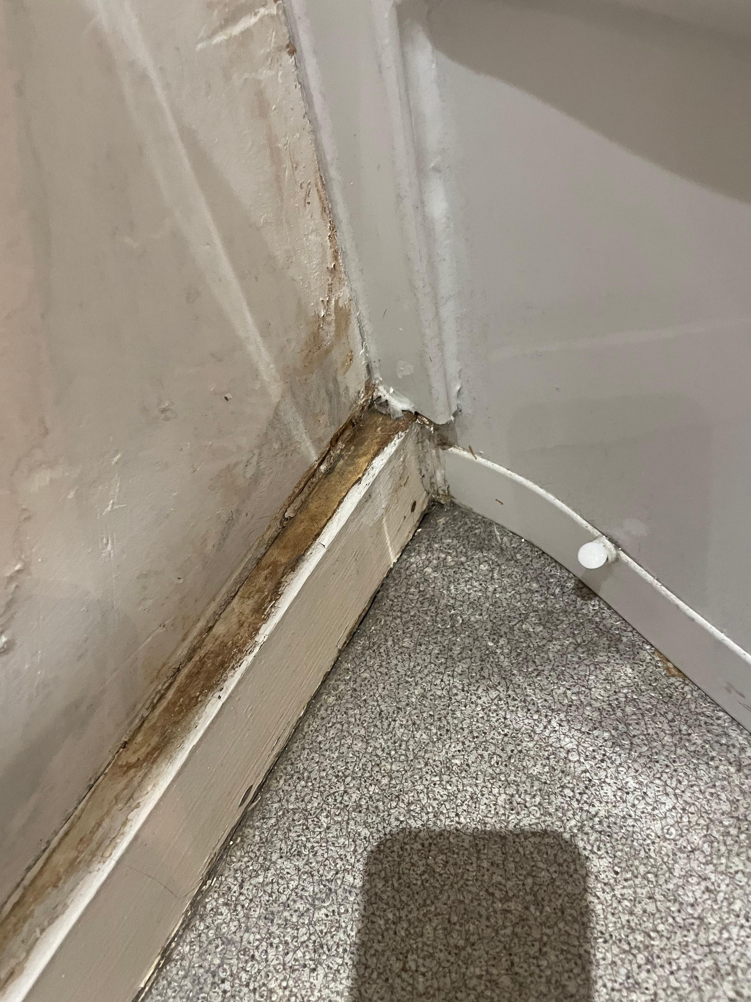 Rotten mouldy skirting - made the bathroom smell musty