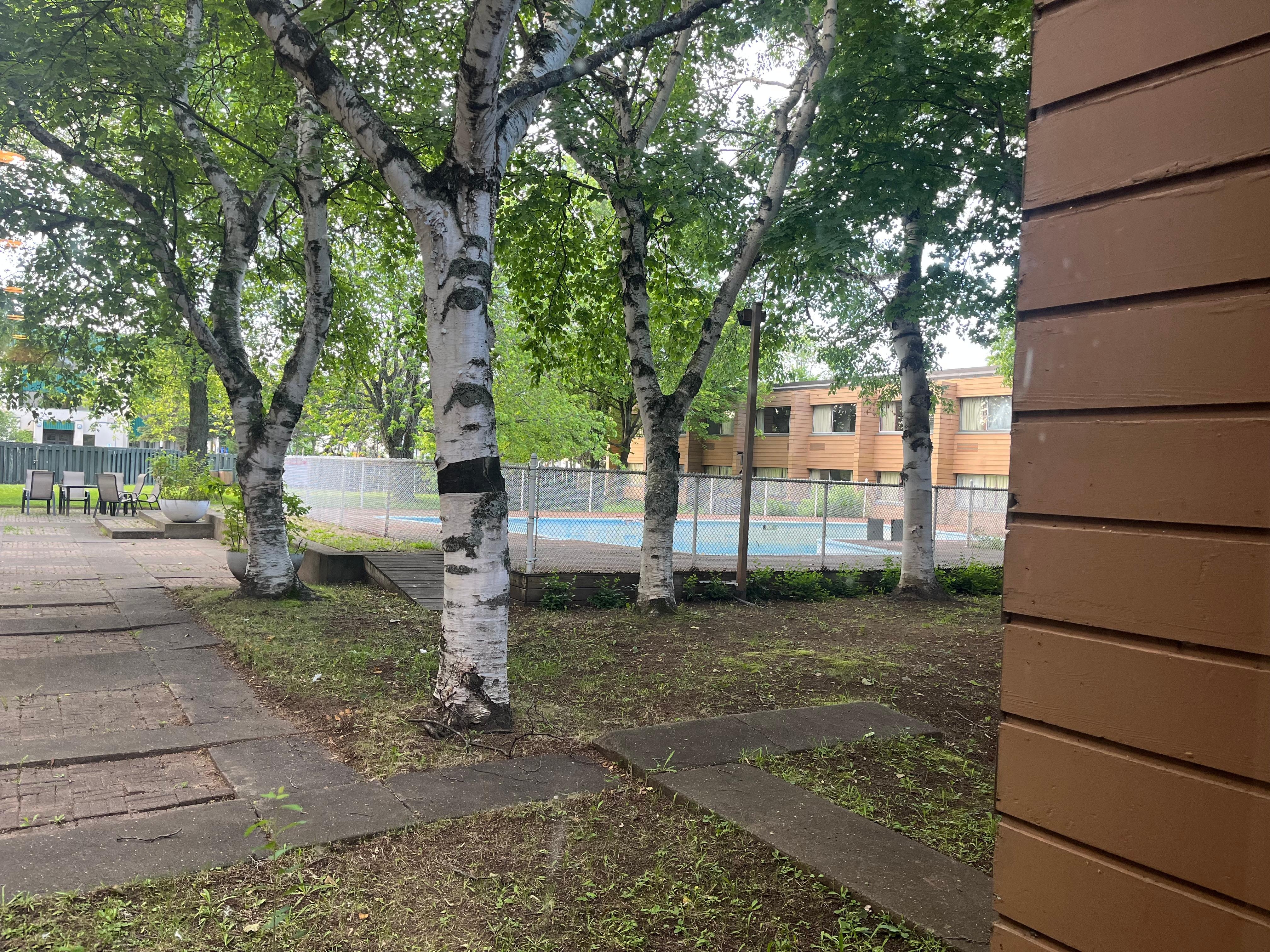 Vue piscine vide et en voie de disparition