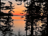 Our evening view