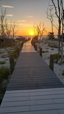 Sunrise at the bay