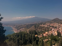 Local view