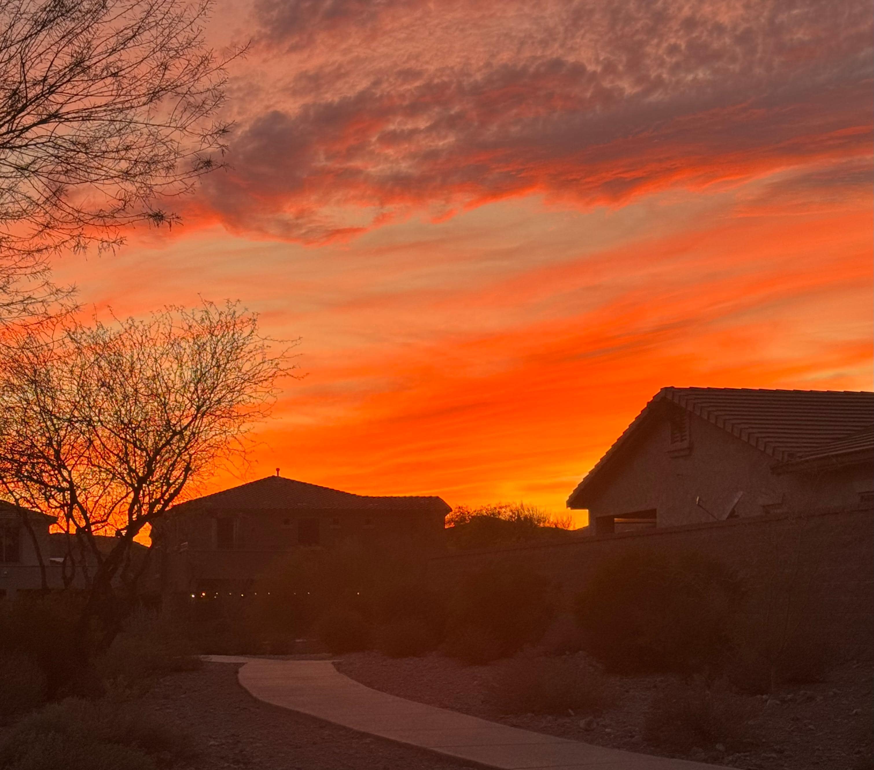 Neighborhood sunset