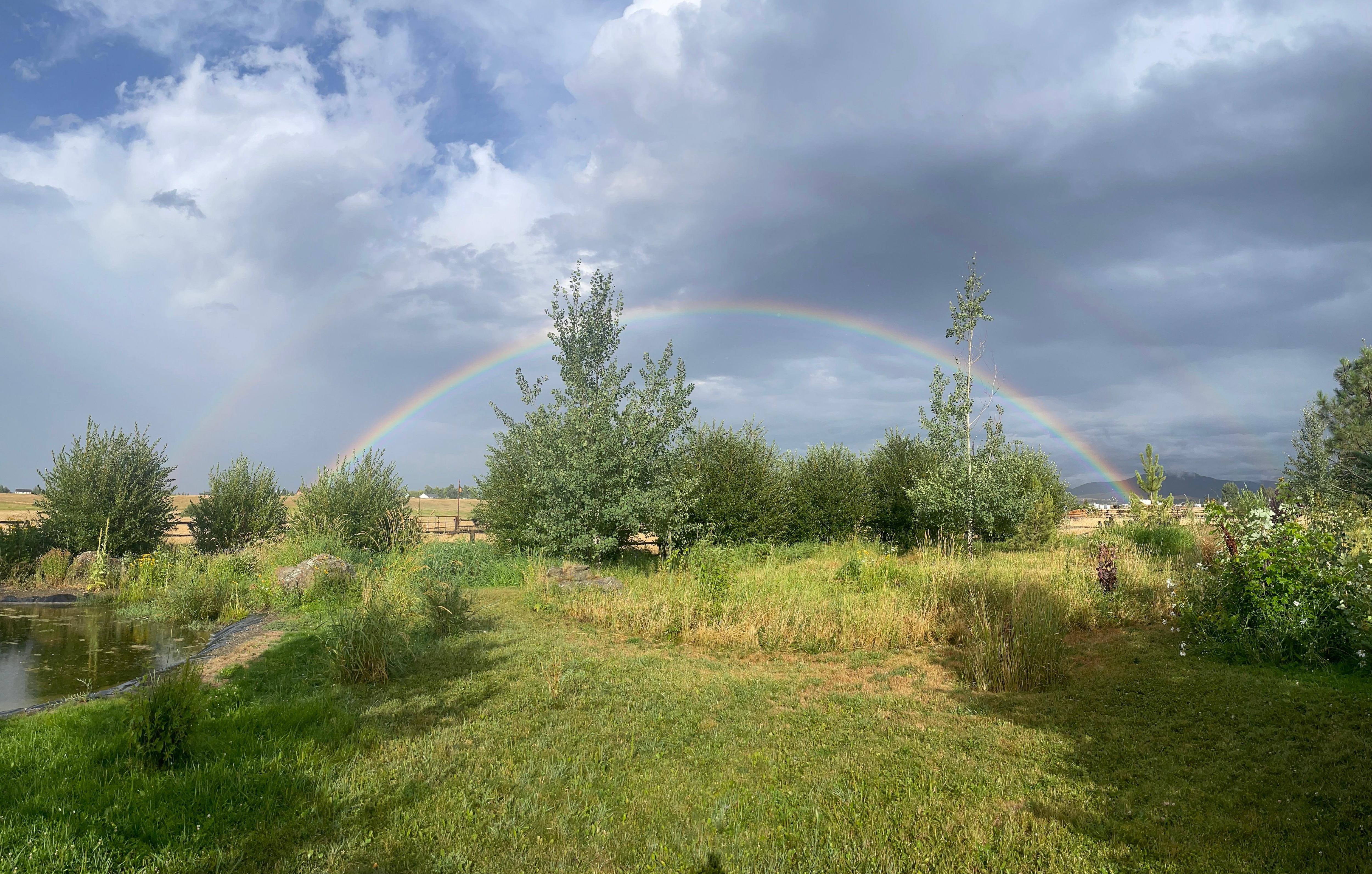 A HUGE rainbow seen from the property after rain
