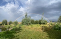A HUGE rainbow seen from the property after rain
