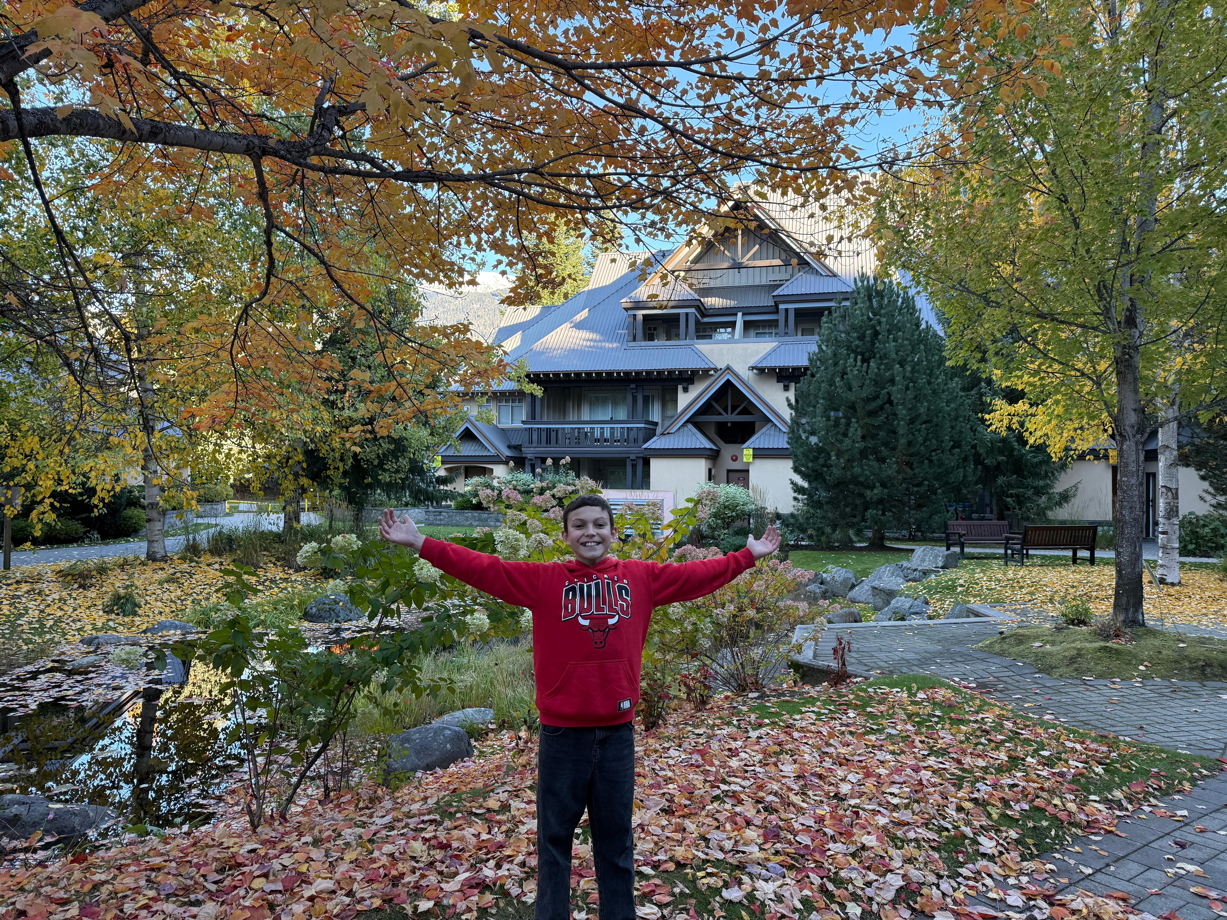 Autumn Leaves falling outside our place 