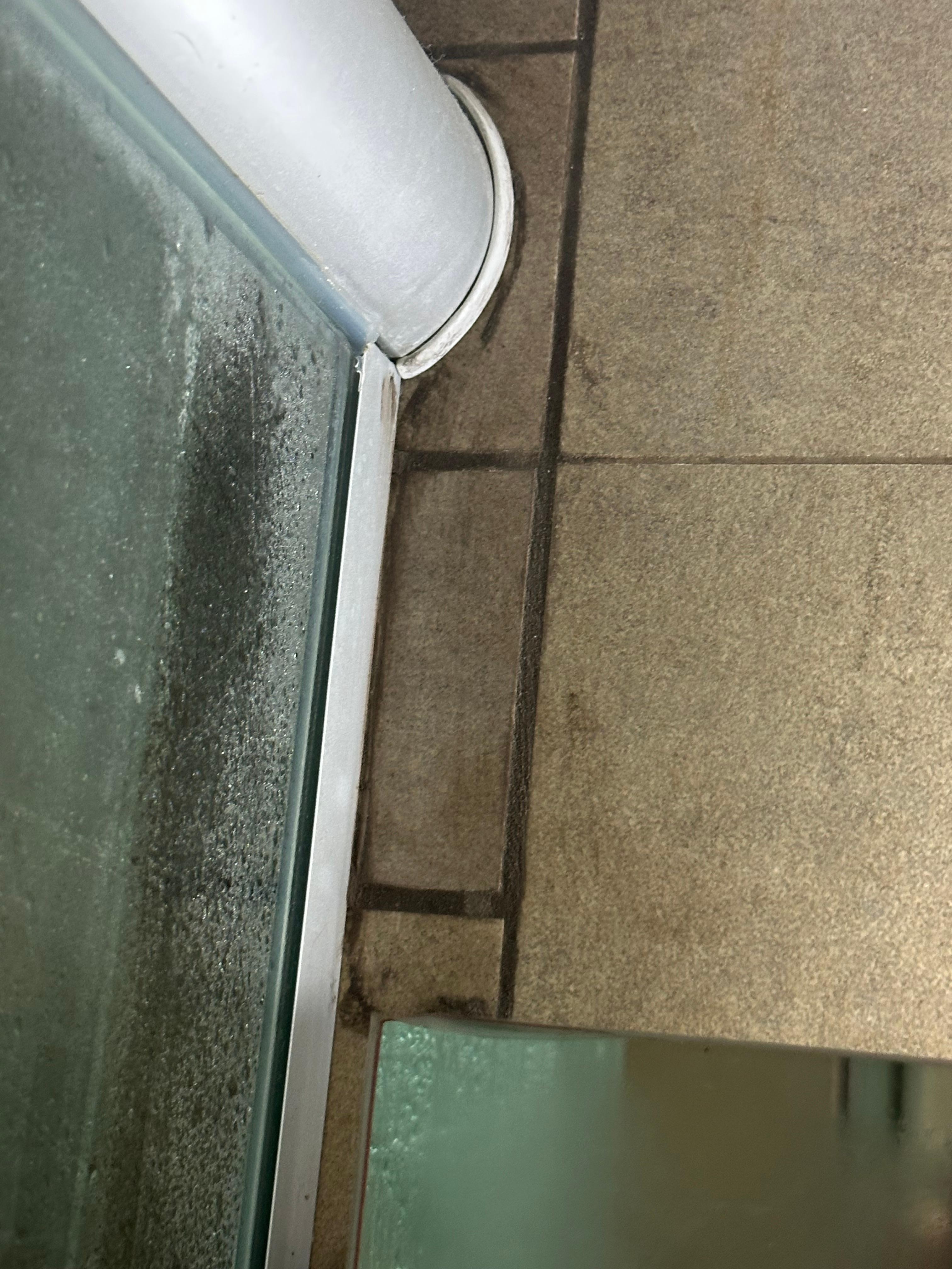 The bathroom shower grout had visible mold