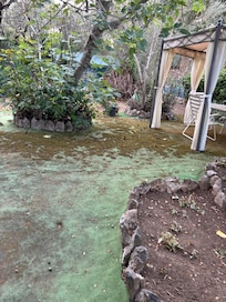 More garden