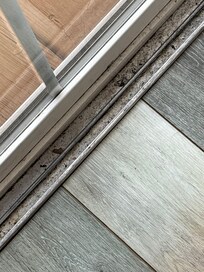 Inside house screen door