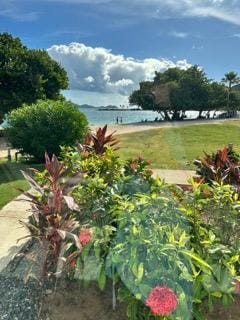 This is the view from our lower level floor kitchen window.