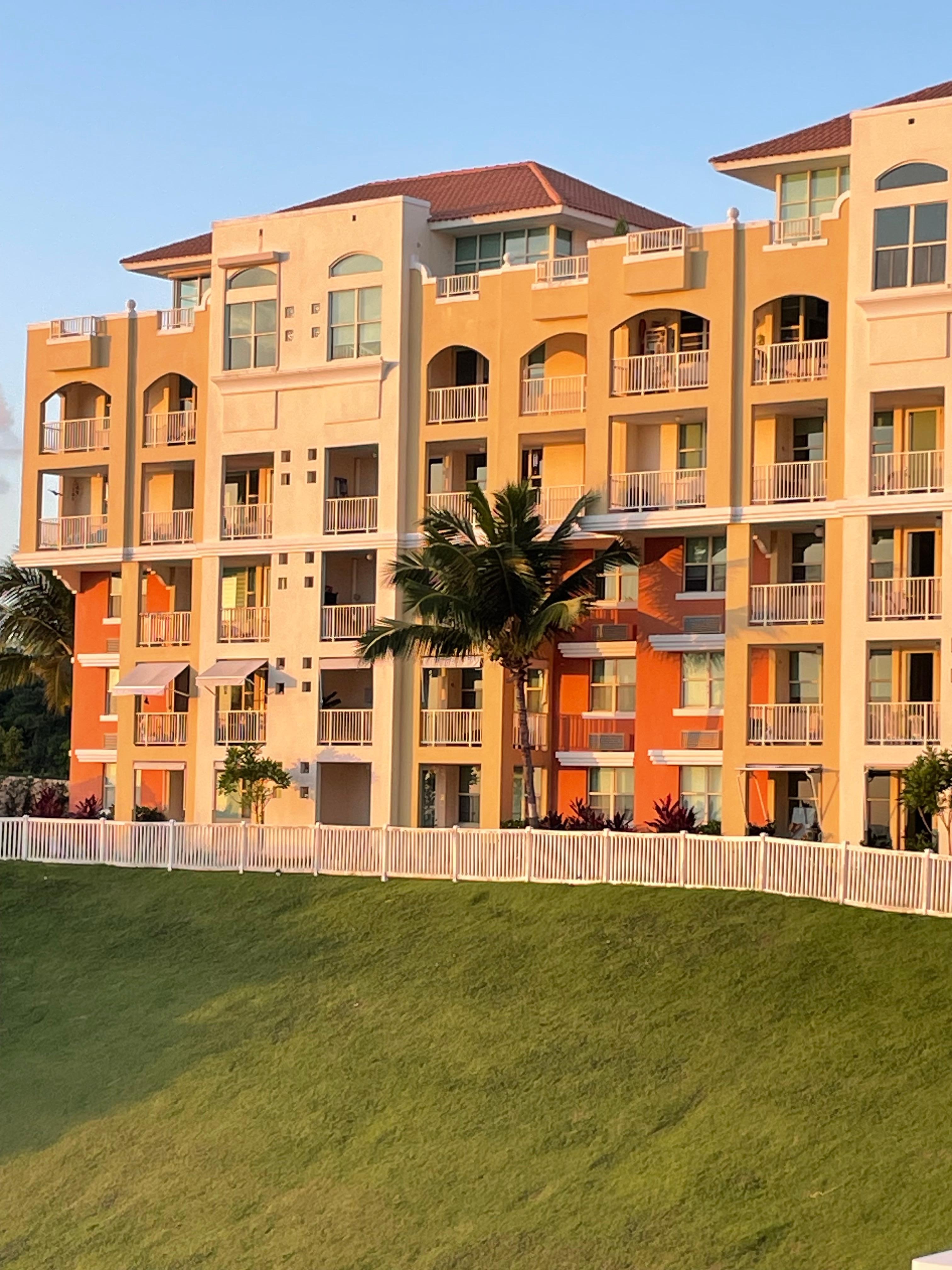 Our balcony is behind the palm tree!!