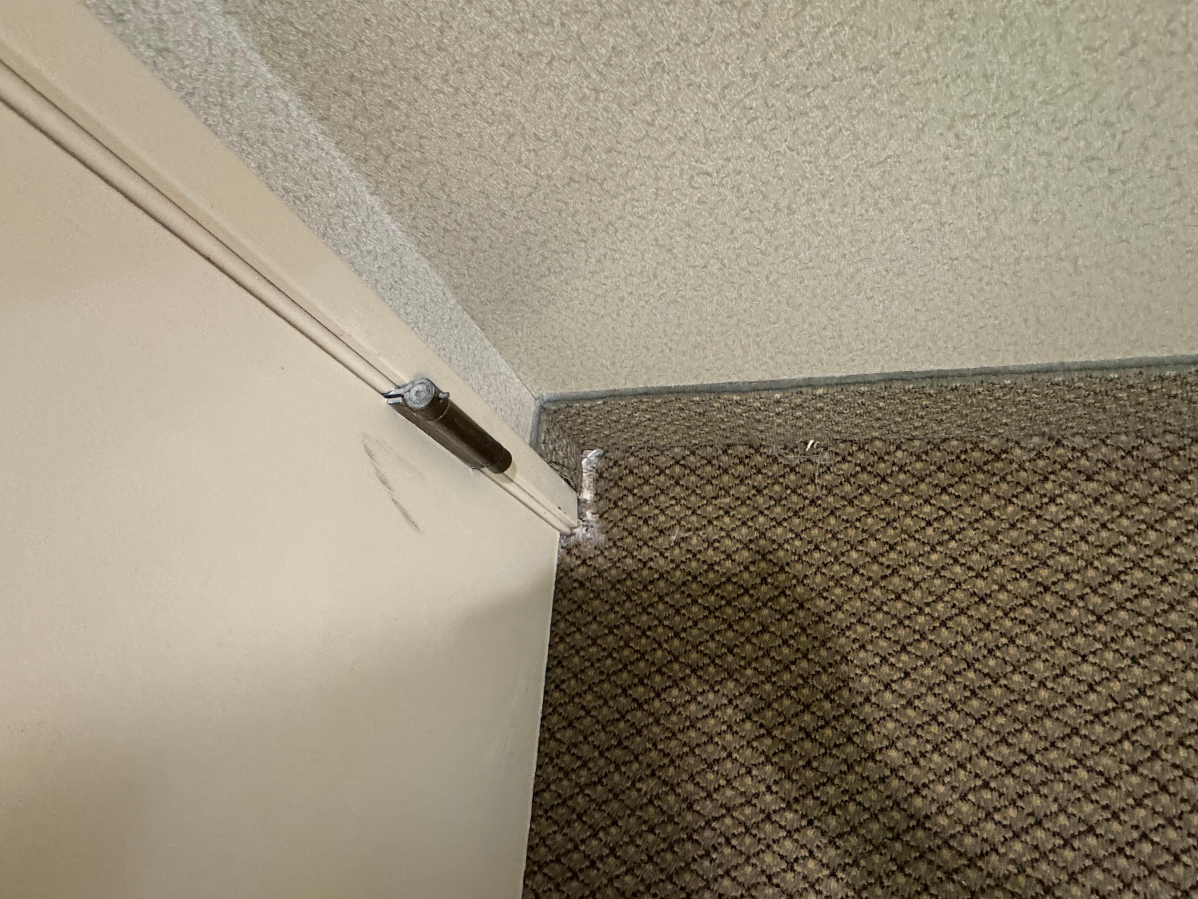 Ripped carpet