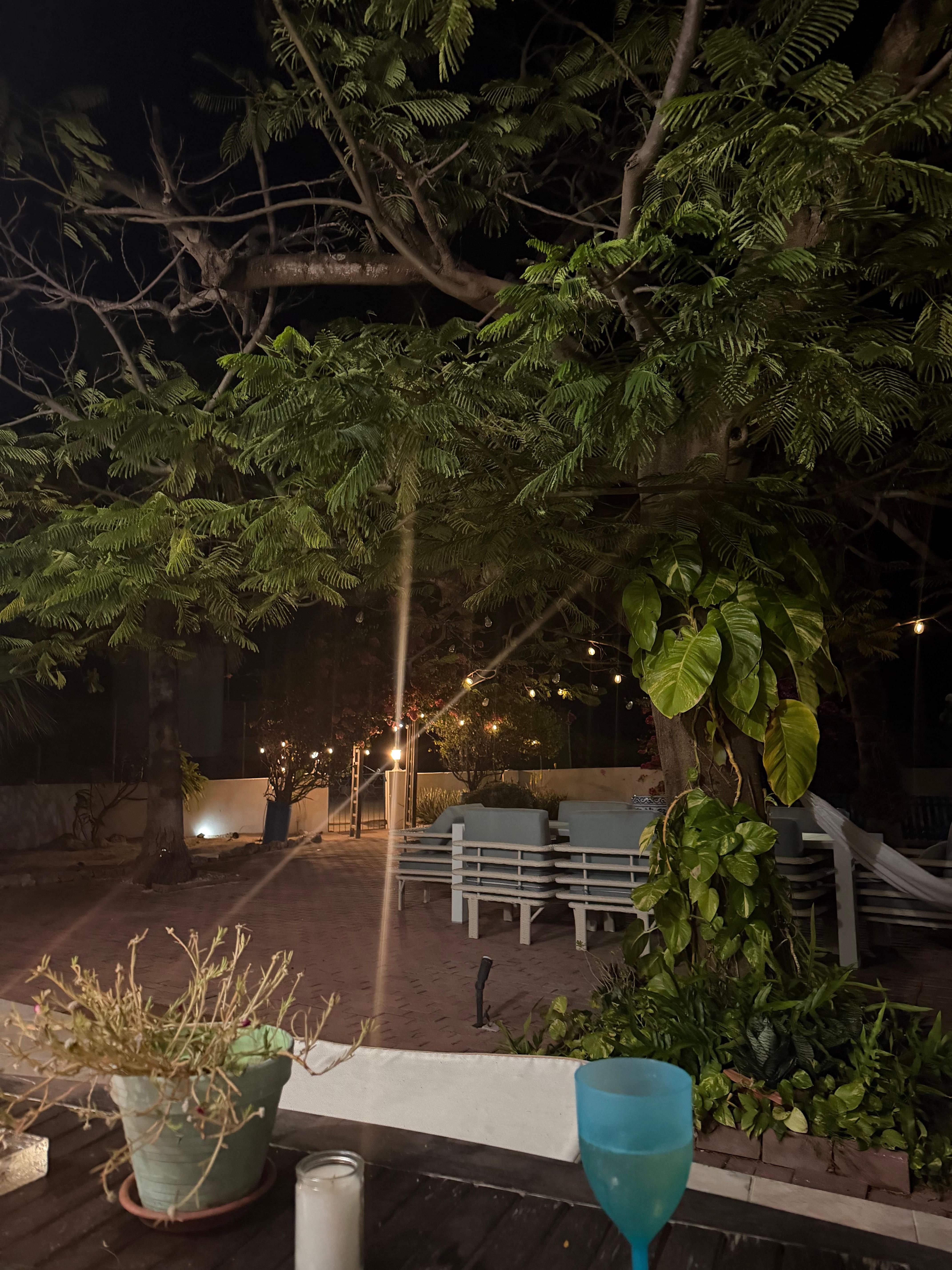 We hung out on our patio every evening! 