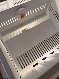 Dirty Carpet/ Toe nails on carpet