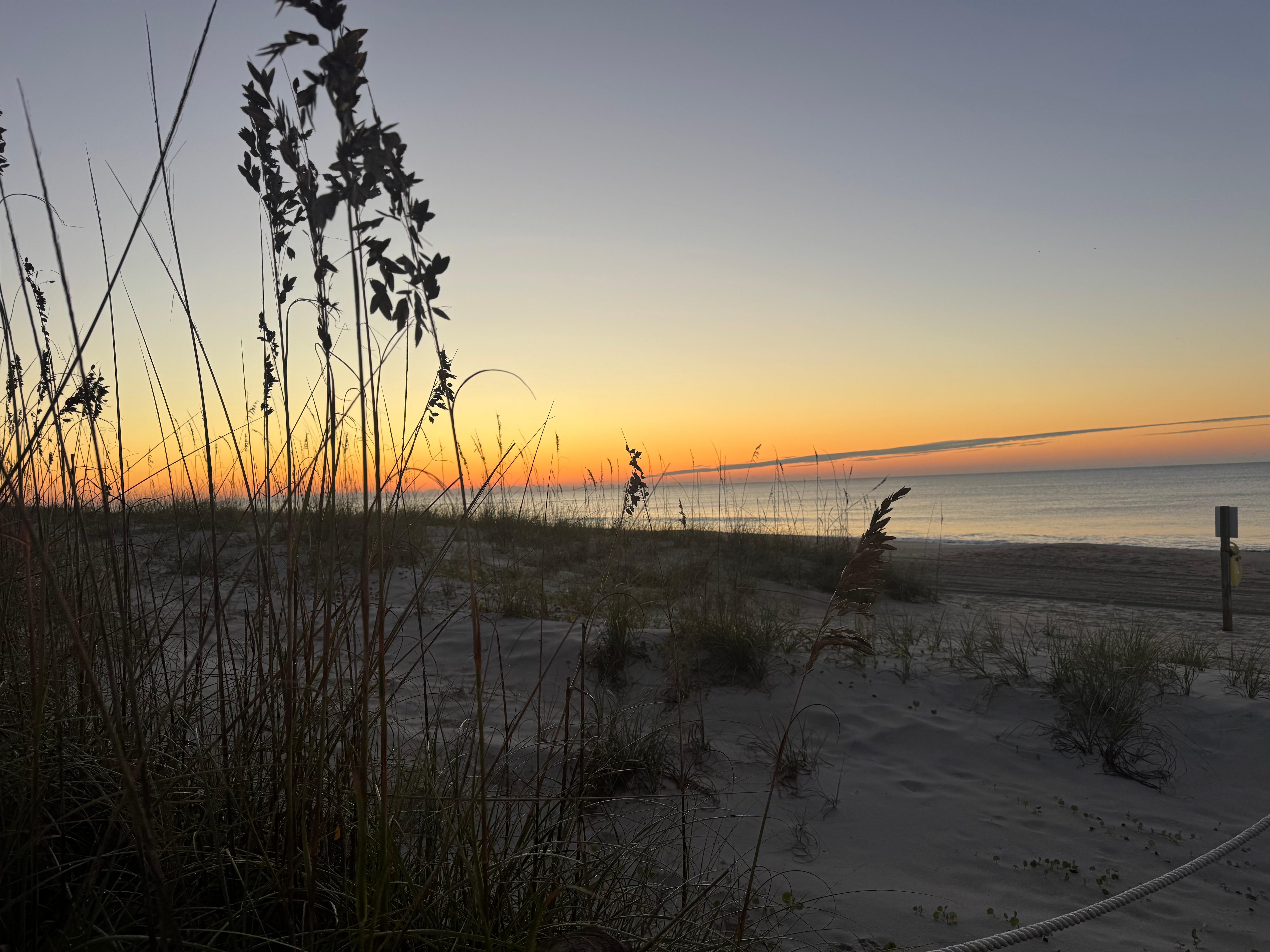 Early morning- very short walk!