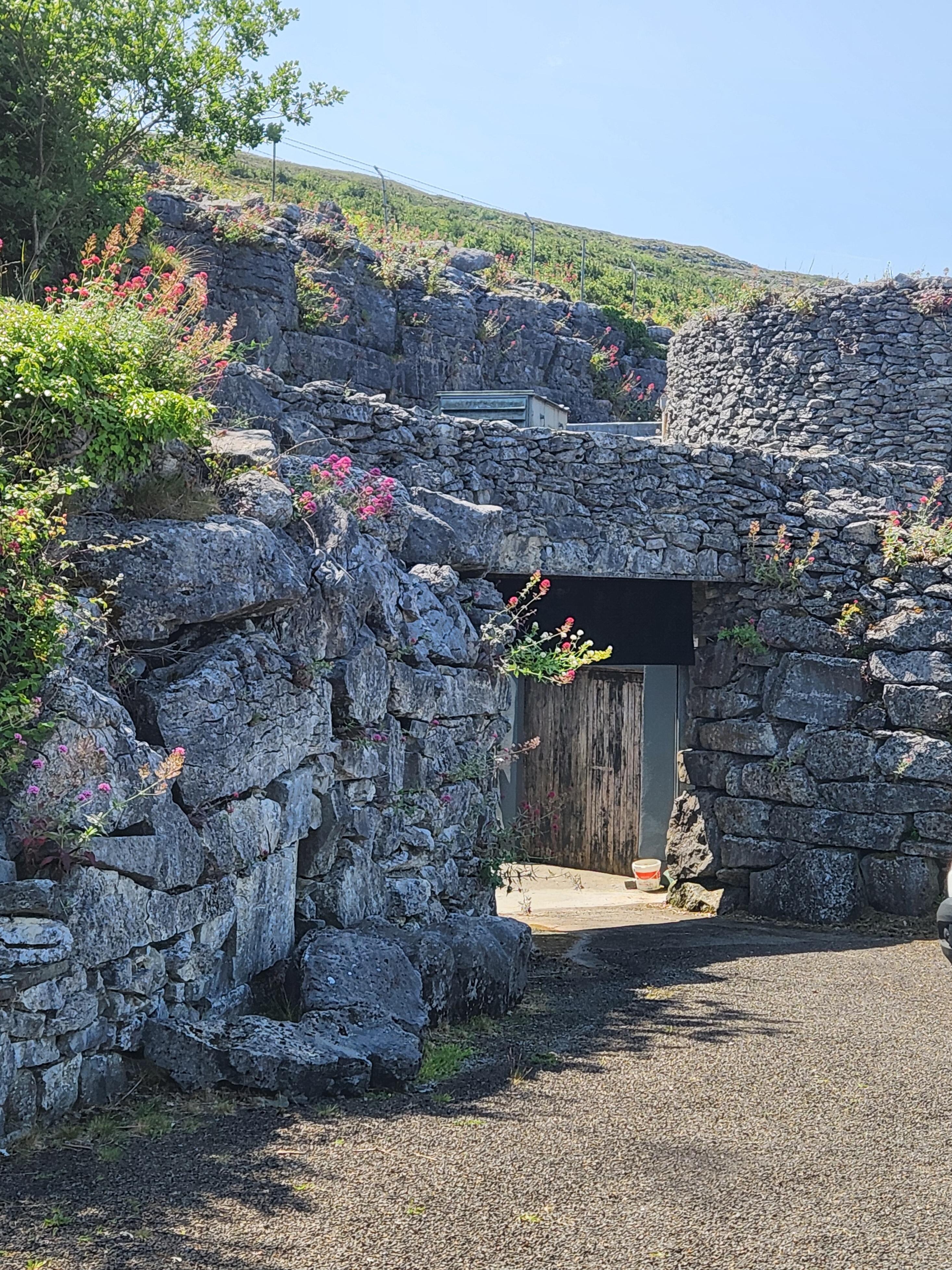Aillwee Caves