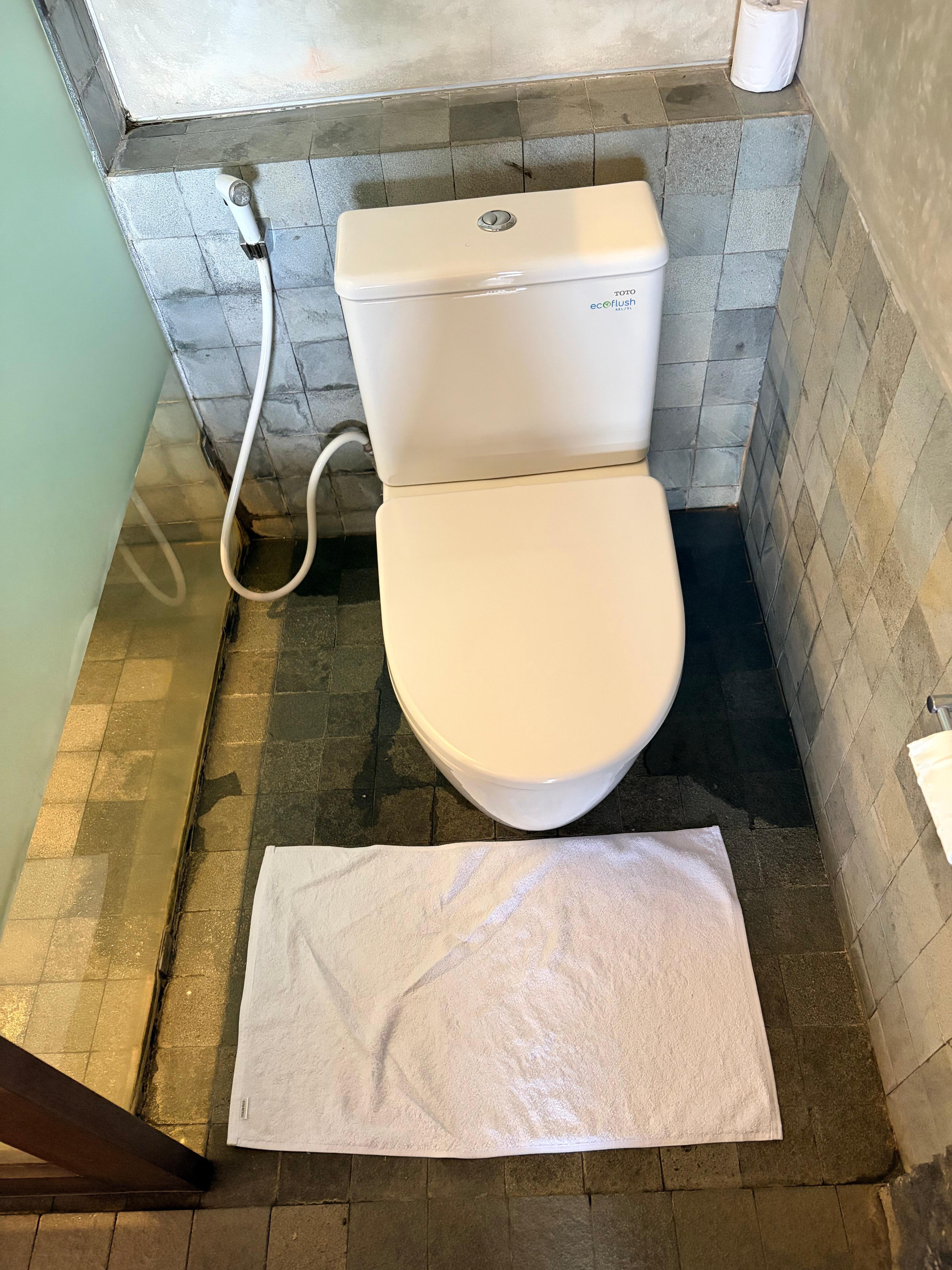 Toilet area was always wet from water seeping in from the shower