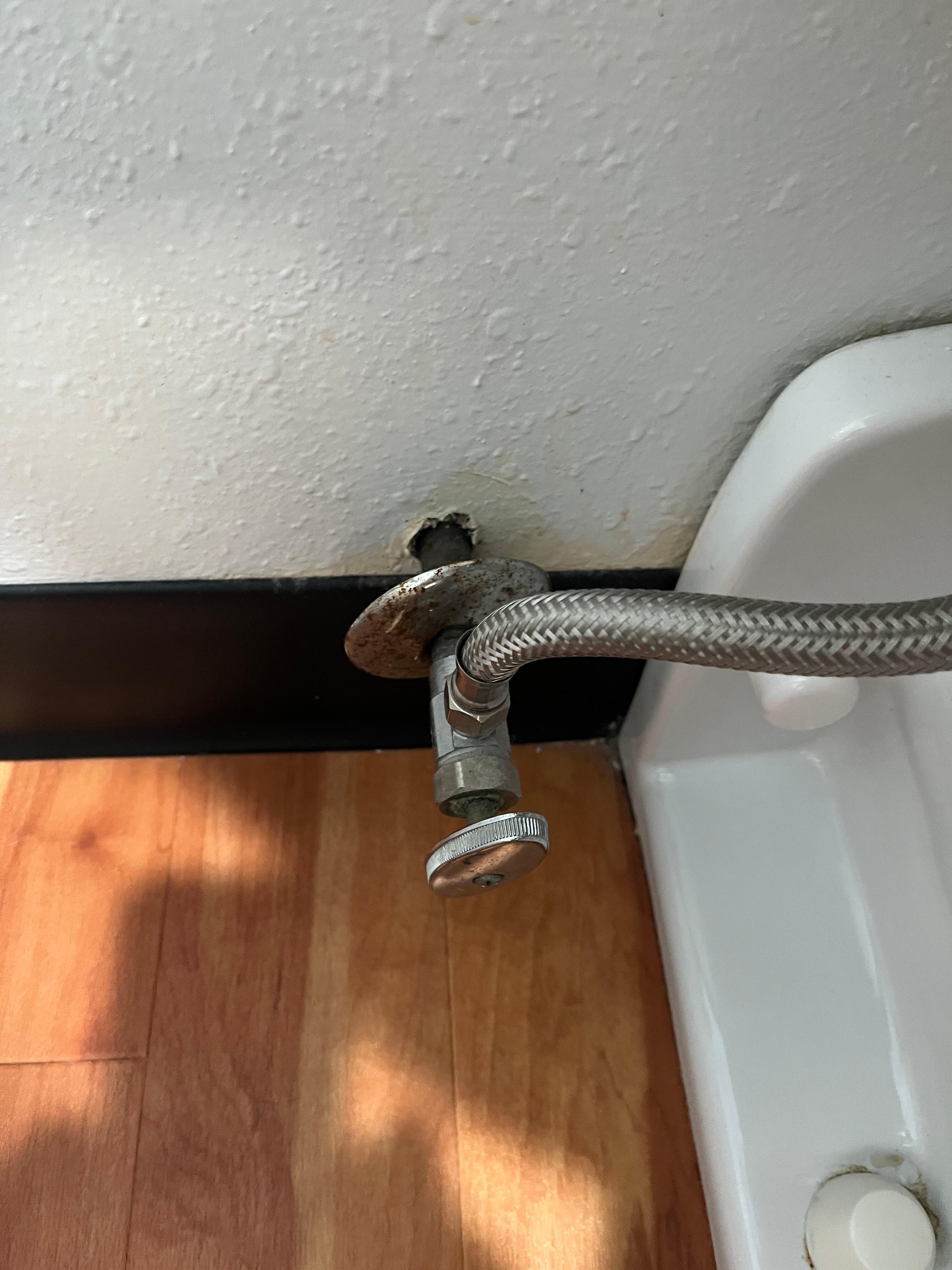 Rusty valves and out of wall behind toilet 