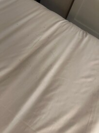 Some kind of lint or dust left on cover