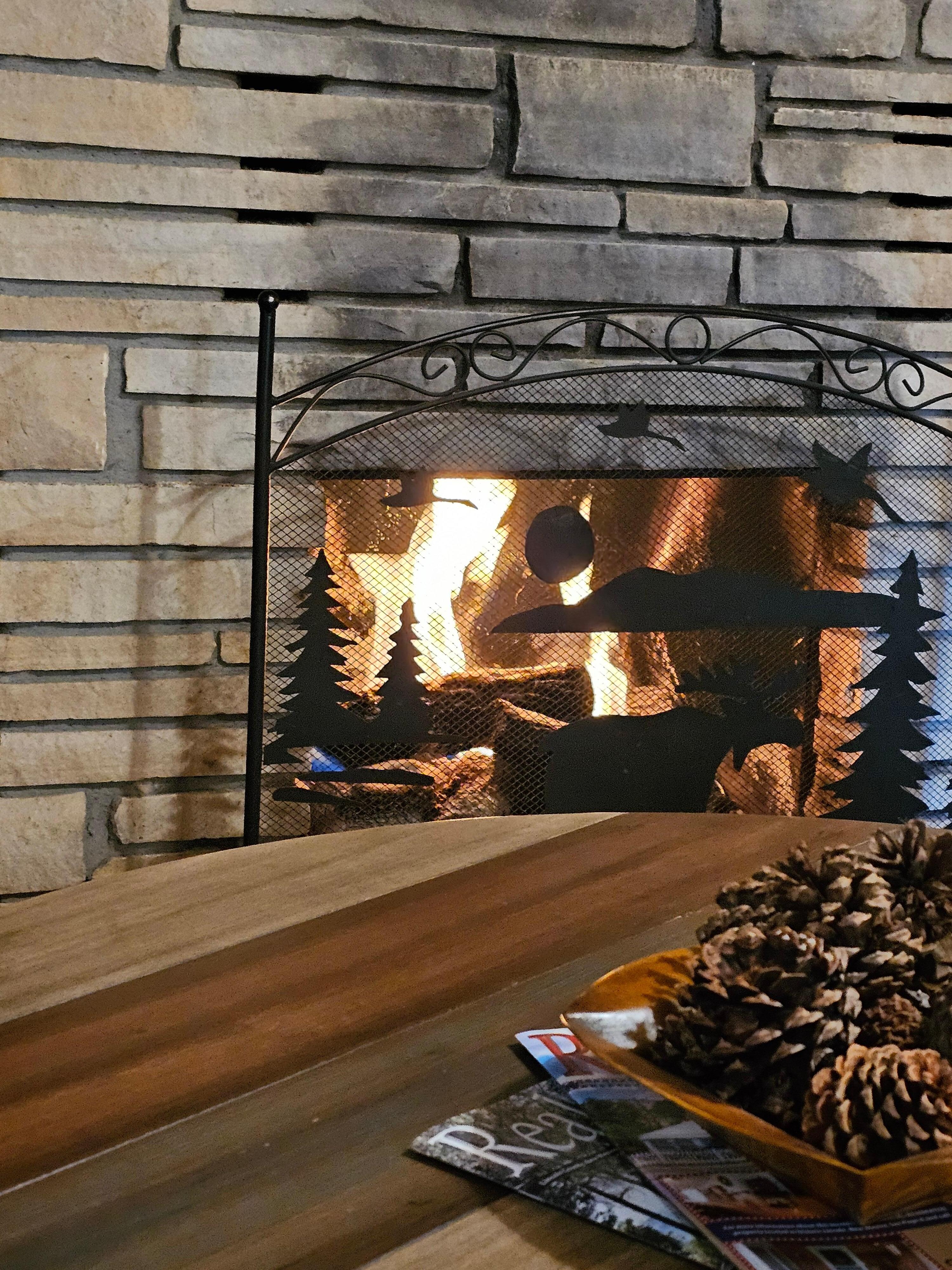 Loved the fireplace!