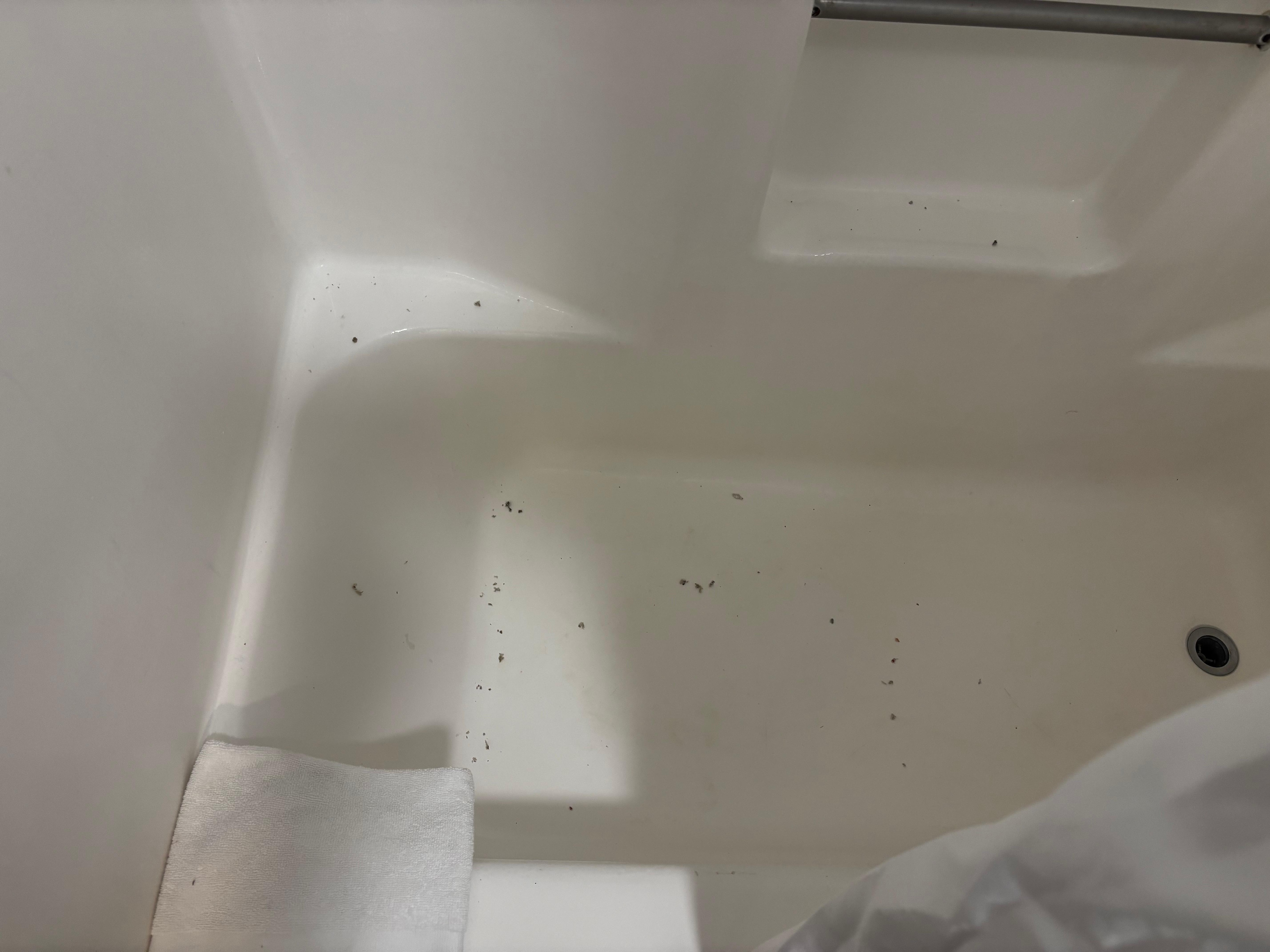 Dead bugs in tub