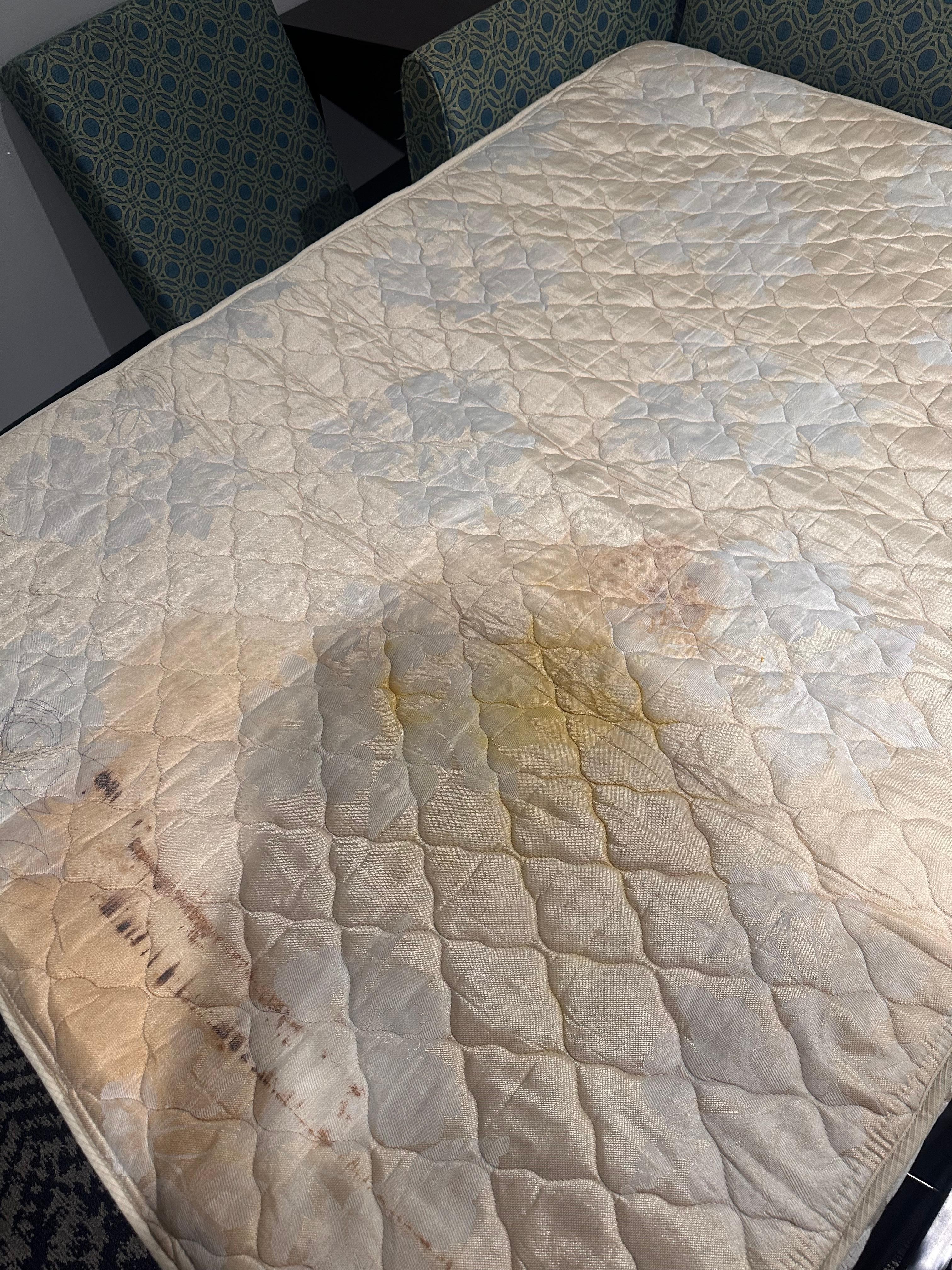 Blood and urine stains???? 