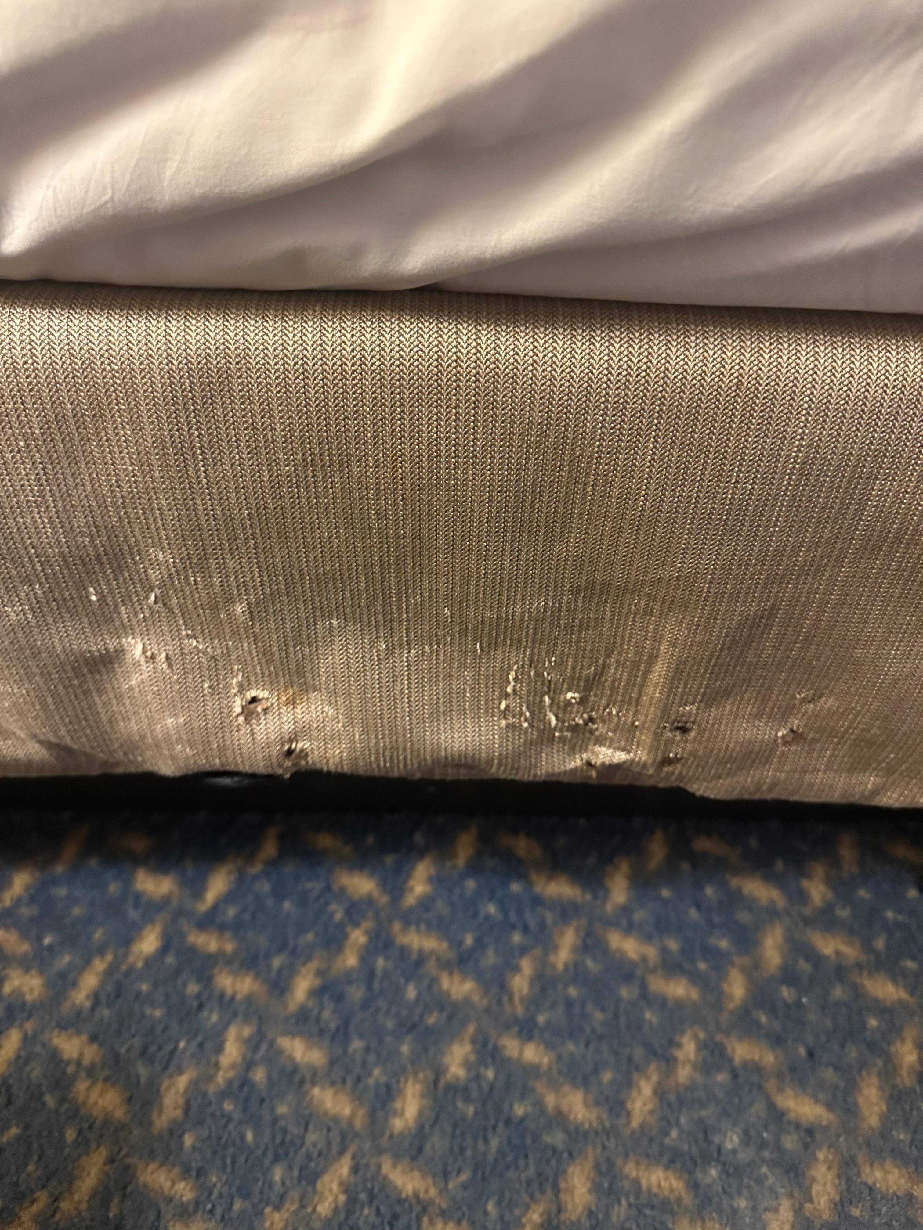 Someone or something was chewing on the bed