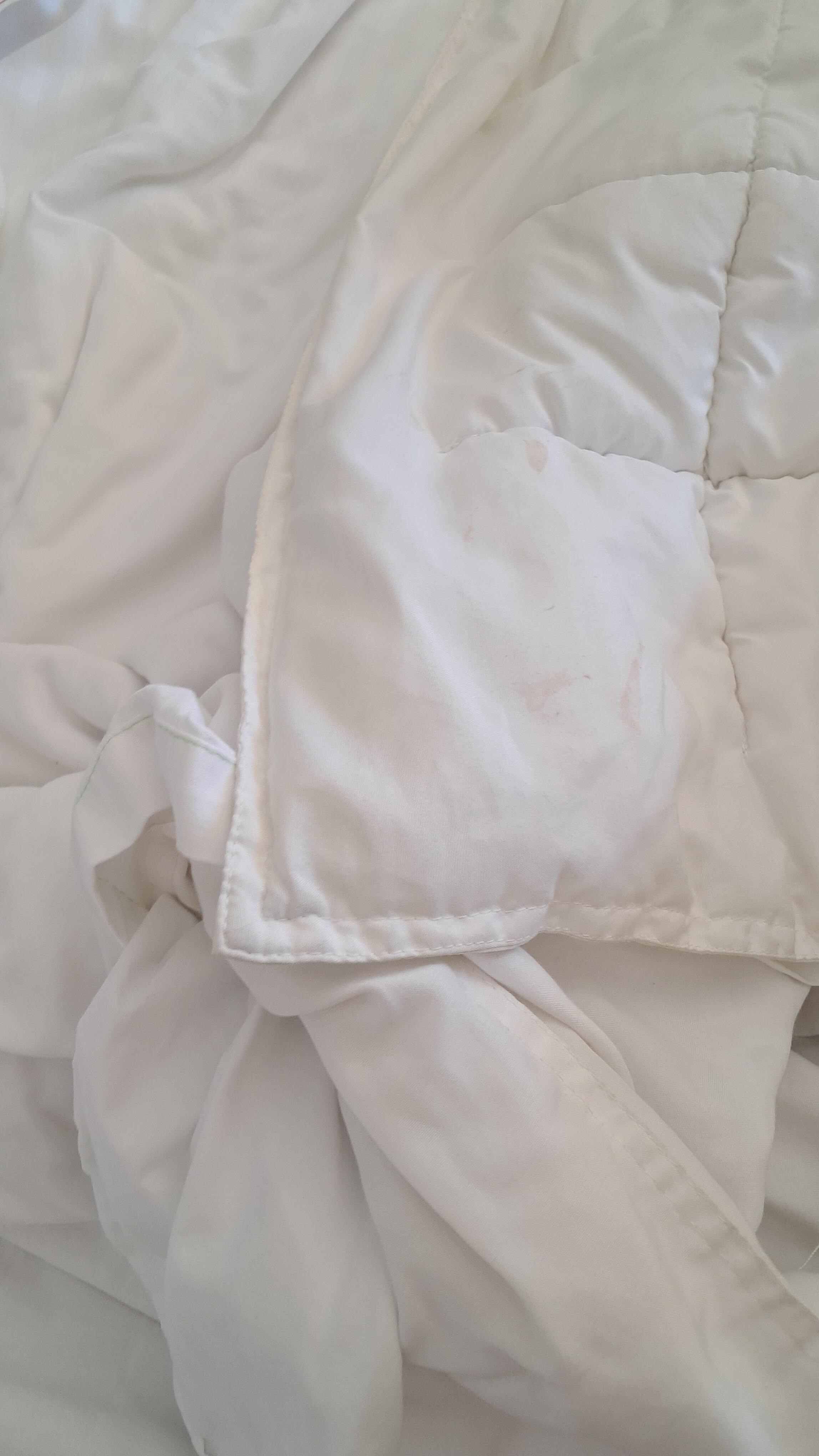 The comforter was stained but otherwise the sheets were clean and smelled good. 