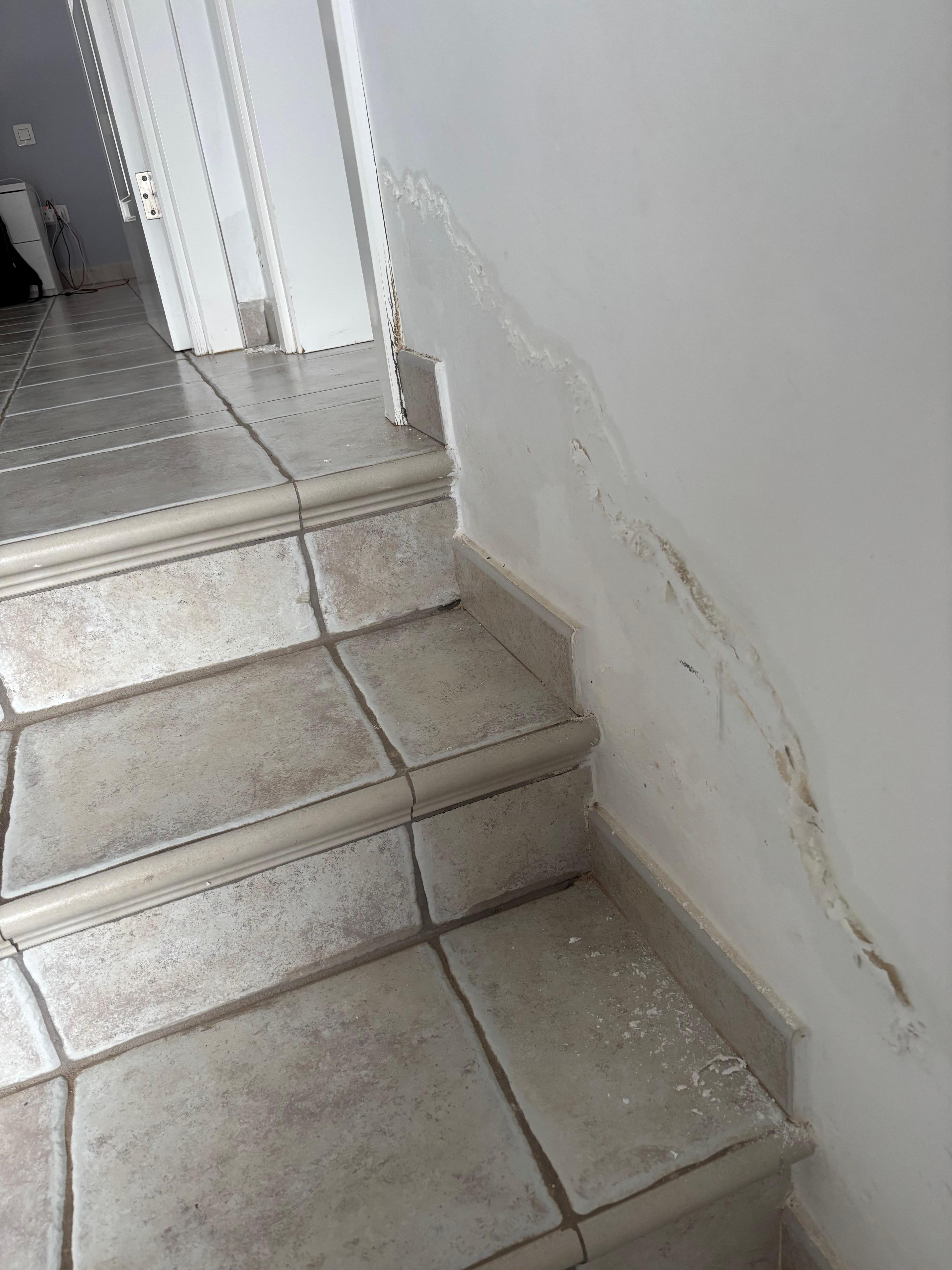 Damp in upstairs hall