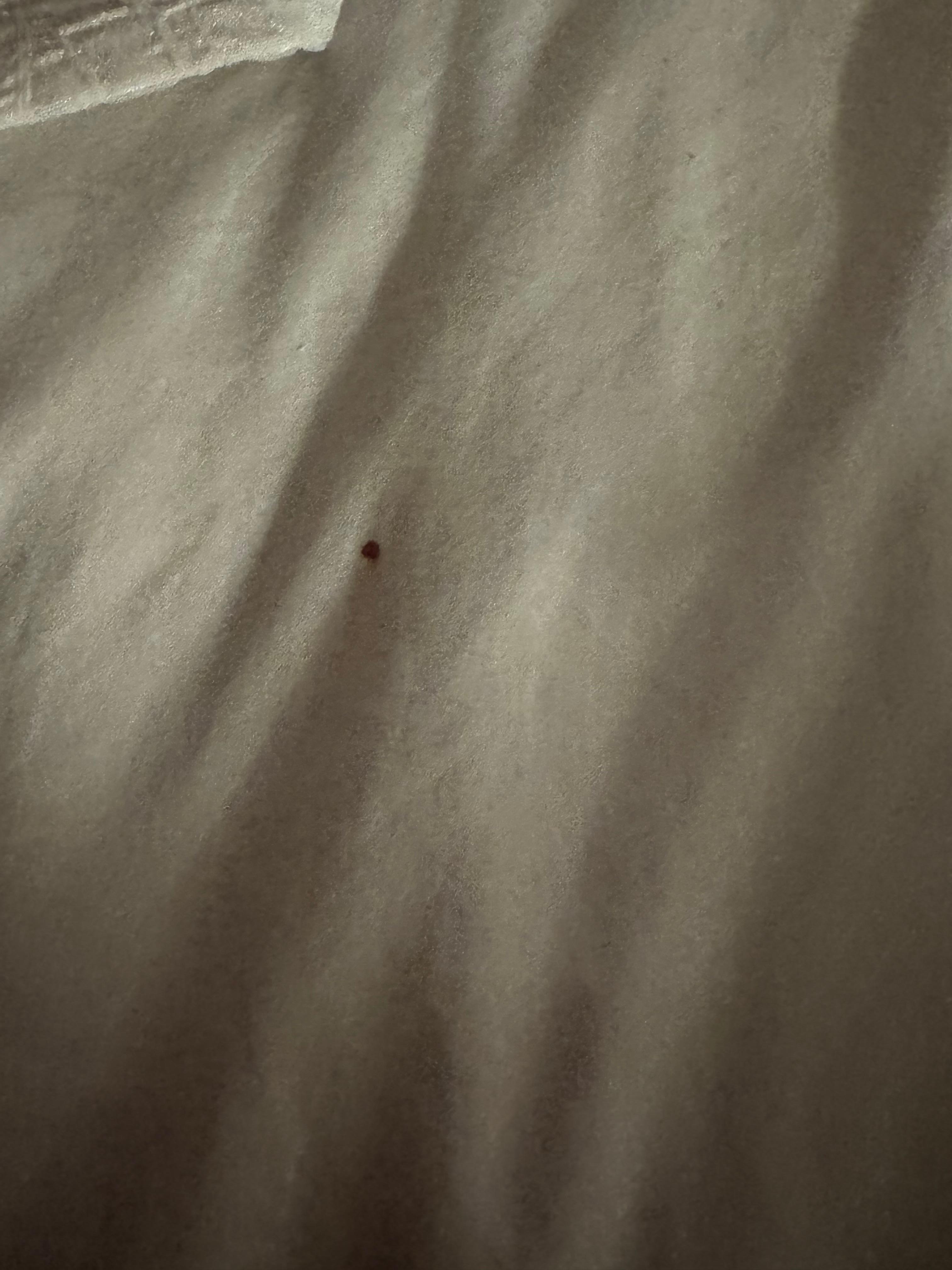 Blood on the sheets