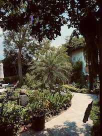 Grounds