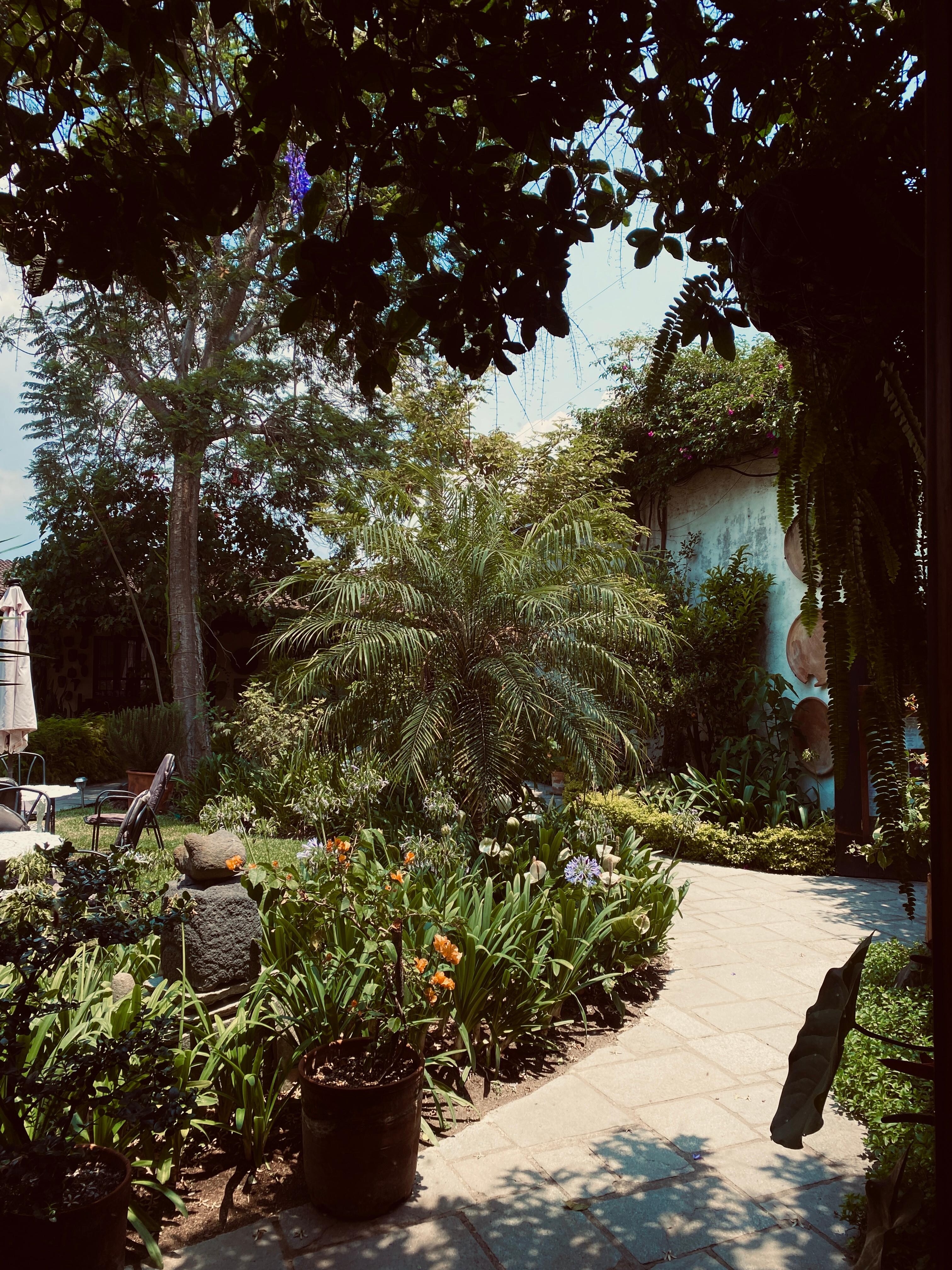 Grounds