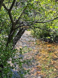At the river