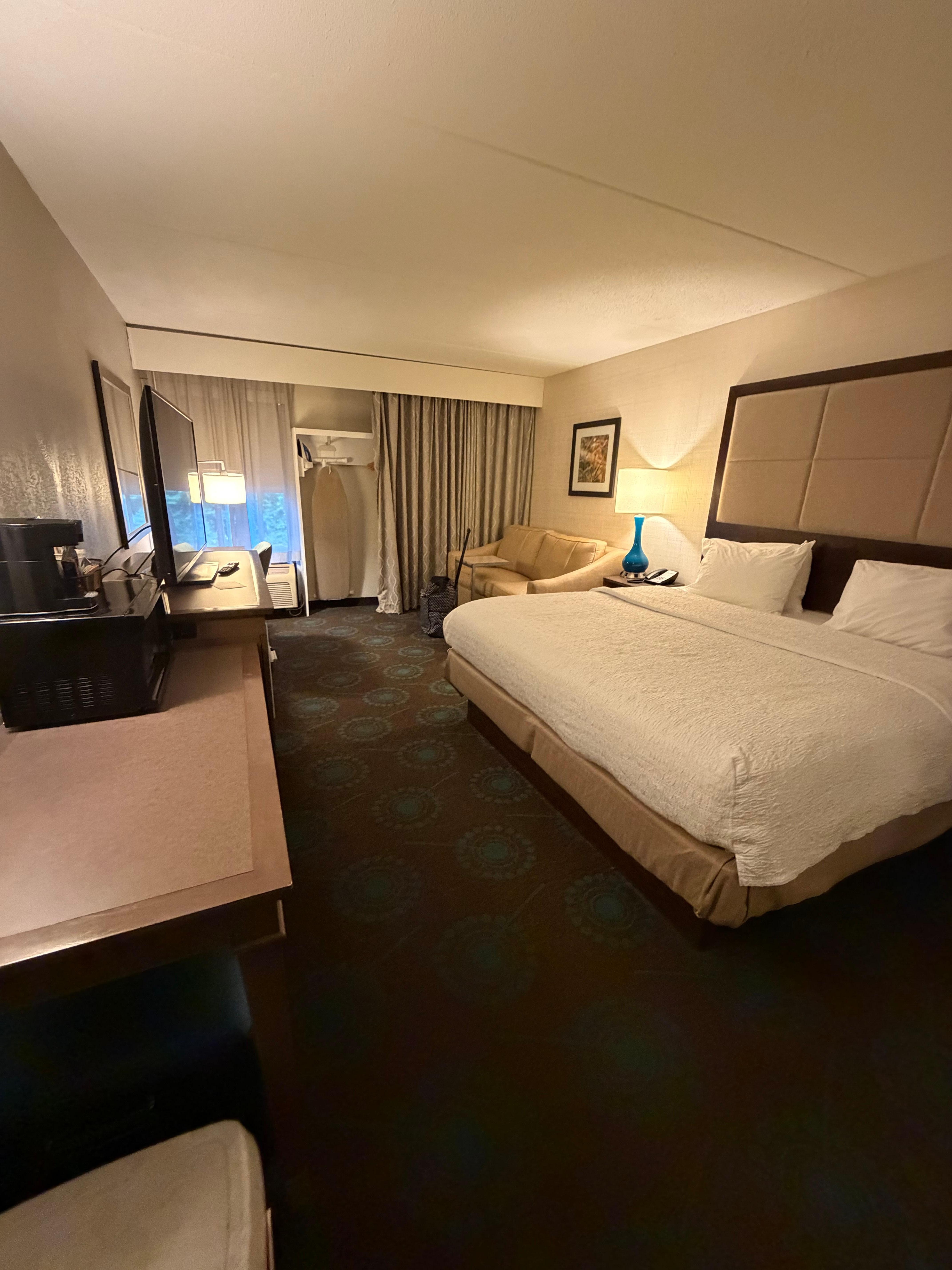 View of room from door. It was a king w sofabed