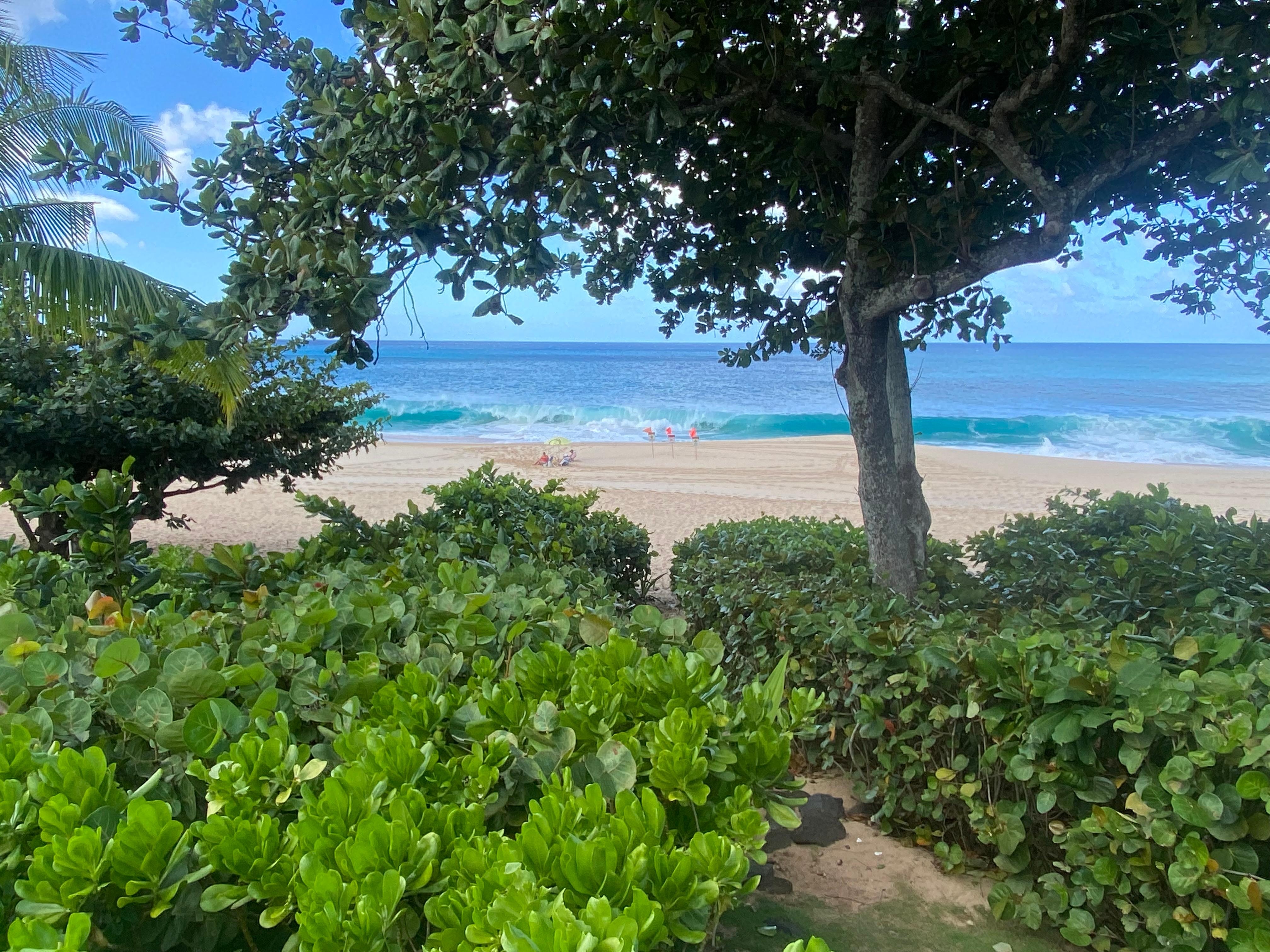 Another view from house