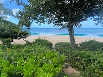 Another view from house