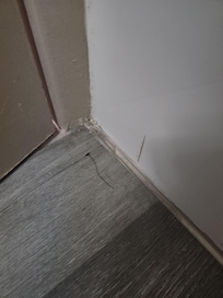 Piece of plastic on bathroom floor. It hadn't been swept.