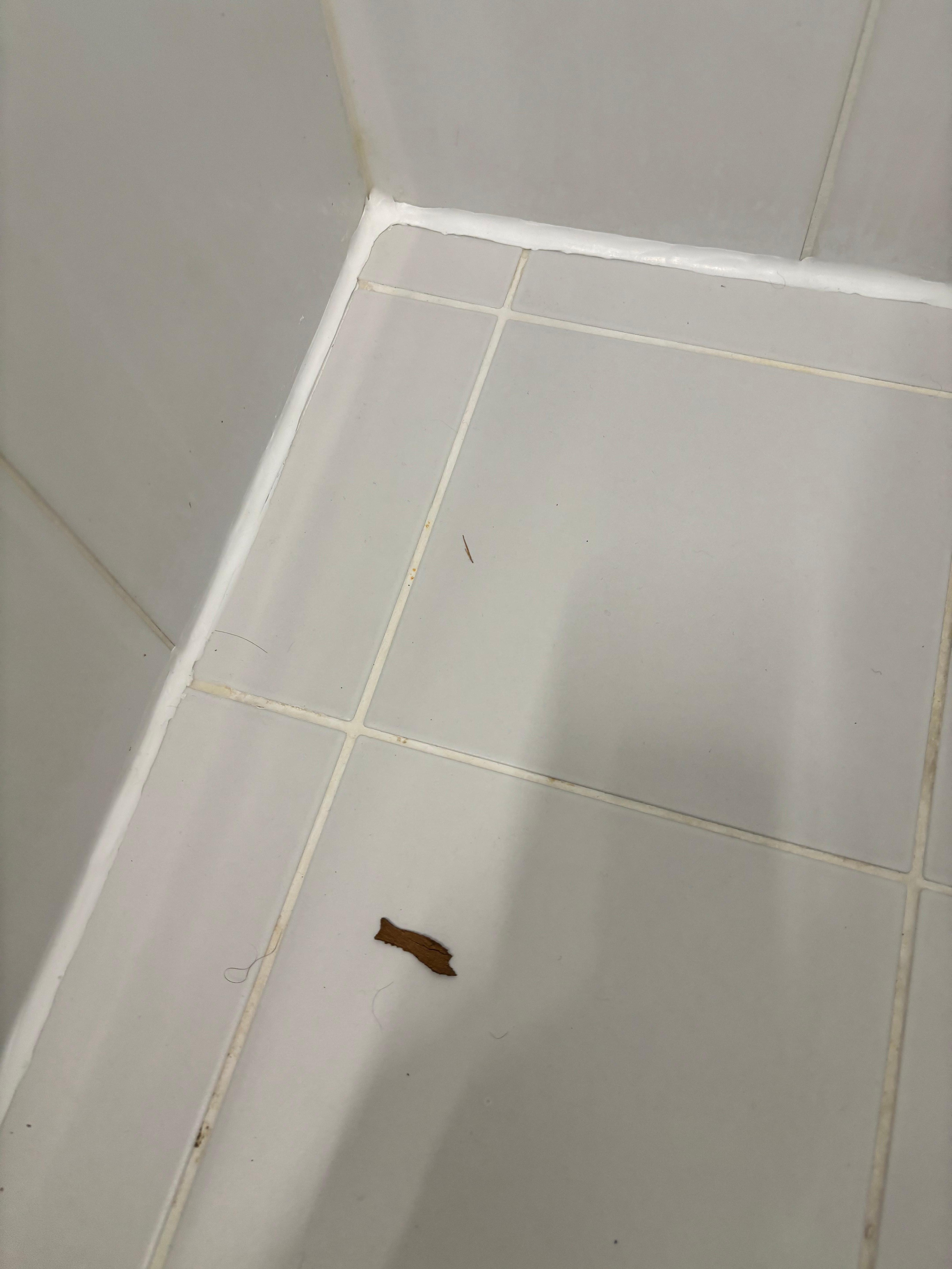 Douche sale a l’arrivée, la personne du nettoyage s’est présentée env 1h après l’arrivée, il a fallut quitter l’apart pour le laisser travailler…