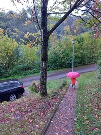 Es gibt kein schlechtes Wetter, nur schlechte Kleidung. Also raus zum Apfel holen